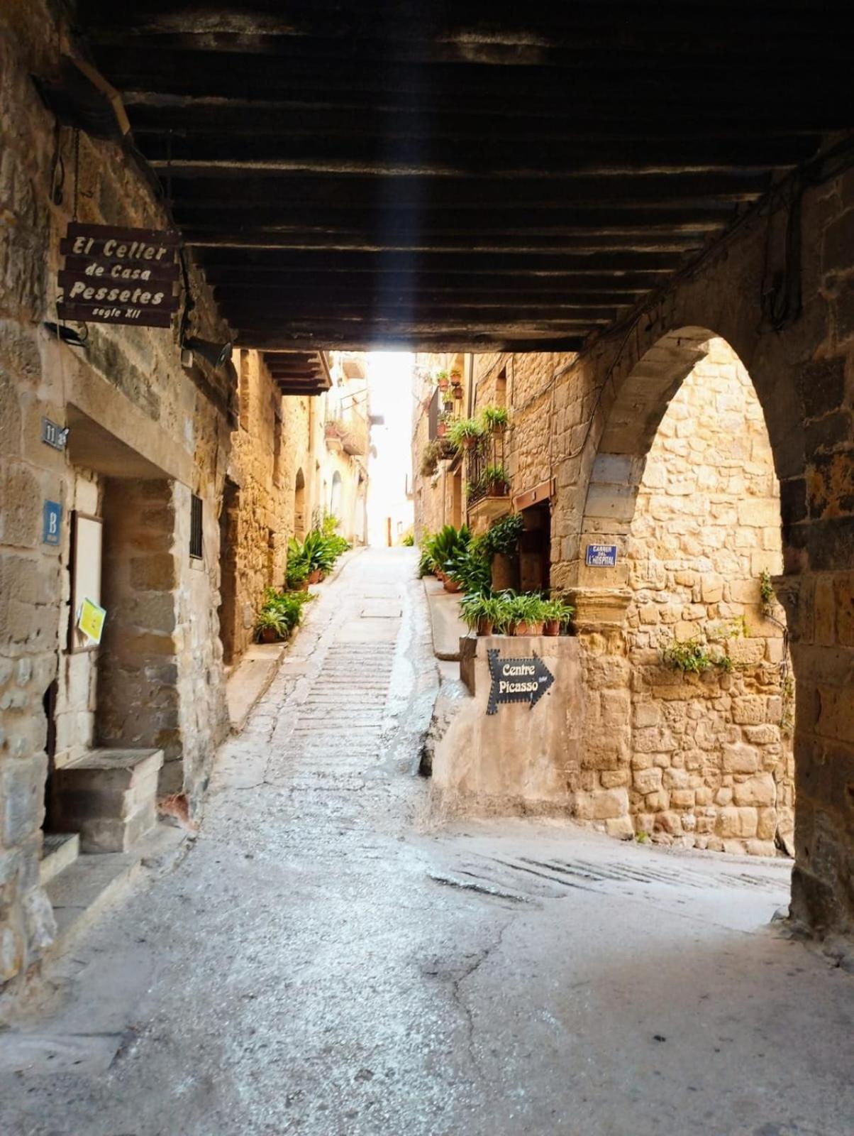 Villa La Casa Del Castell Horta de Sant Joan Esterno foto